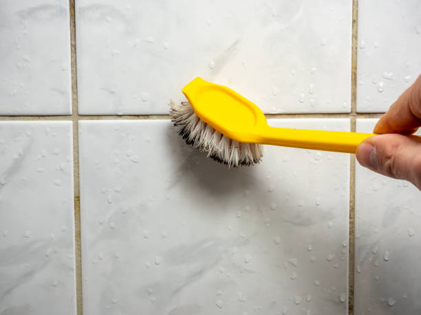 Best Professional Mold Removal  in Grant, AL