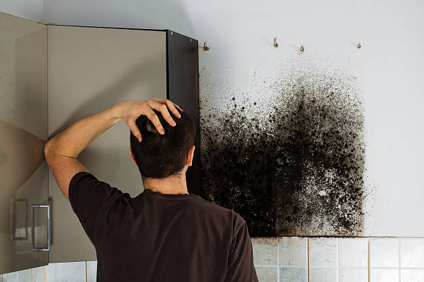 Best Residential Mold Removal  in Grant, AL
