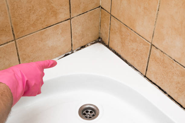 Best Residential Mold Removal  in Grant, AL